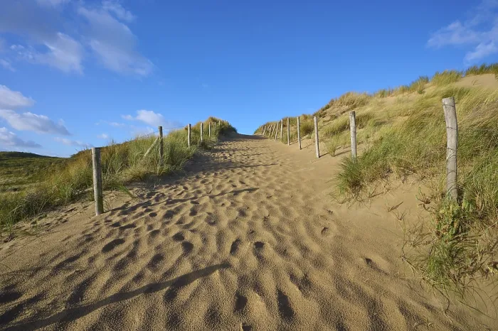 Gerahmter Druck : Strandzugang, Sanddüne, Dünengras. Gerahmter Druck : Strandzugang, Sanddüne, Dünengras.