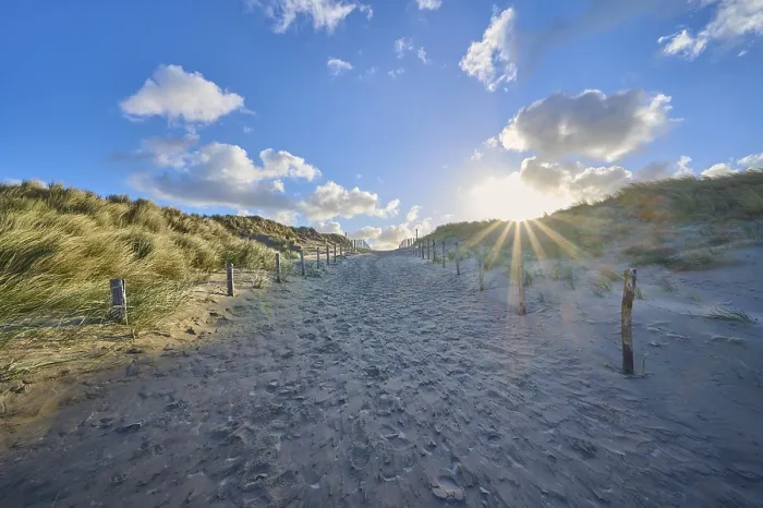 Gerahmter Druck : Strandzugang, Sanddüne, Dünengras. Gerahmter Druck : Strandzugang, Sanddüne, Dünengras.