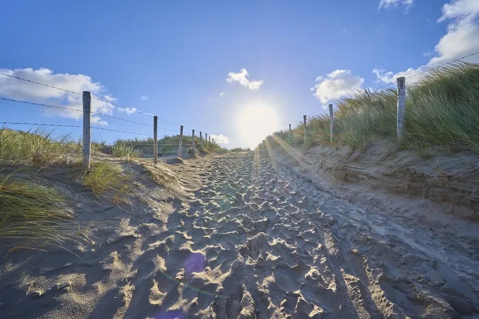 Gerahmter Druck : Strandzugang, Sanddüne, Dünengras. Gerahmter Druck : Strandzugang, Sanddüne, Dünengras.