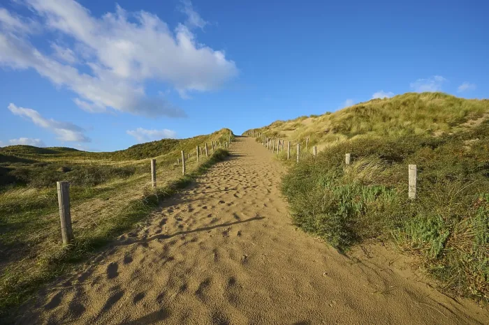 Gerahmter Druck : Strandzugang, Sanddüne, Dünengras Gerahmter Druck : Strandzugang, Sanddüne, Dünengras