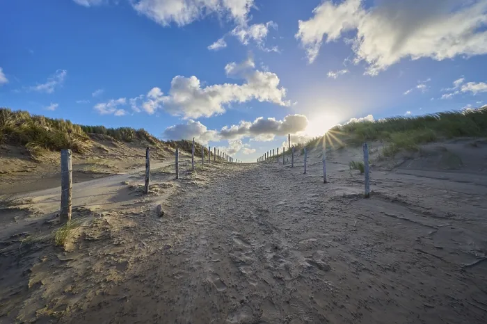 Gerahmter Druck : Strandzugang, Sanddüne, Dünengras. Gerahmter Druck : Strandzugang, Sanddüne, Dünengras.