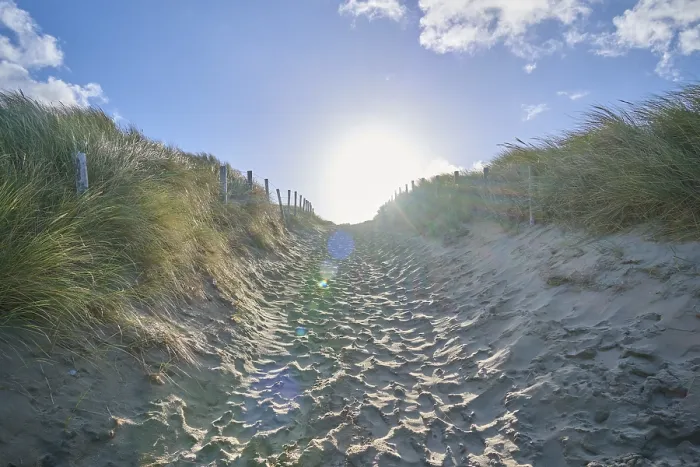 Gerahmter Druck : Strandzugang, Sanddüne, Dünengras. Gerahmter Druck : Strandzugang, Sanddüne, Dünengras.