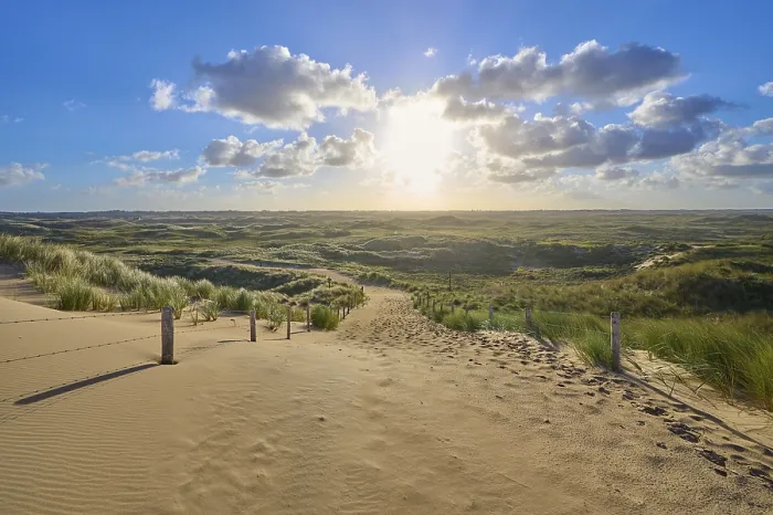 Gerahmter Druck : Strandzugang, Sanddüne, Dünengras. Gerahmter Druck : Strandzugang, Sanddüne, Dünengras.