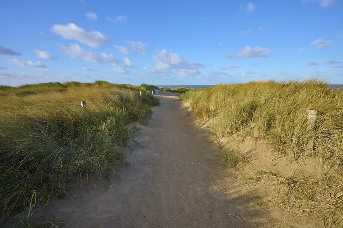 Gerahmter Druck : Strandzugang, Sanddüne, Dünengras. Gerahmter Druck : Strandzugang, Sanddüne, Dünengras.