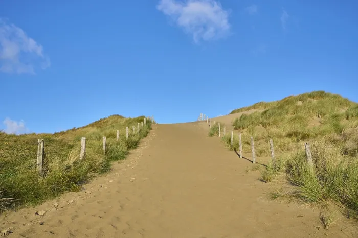 Gerahmter Druck : Strandzugang, Sanddüne, Dünengras. Gerahmter Druck : Strandzugang, Sanddüne, Dünengras.