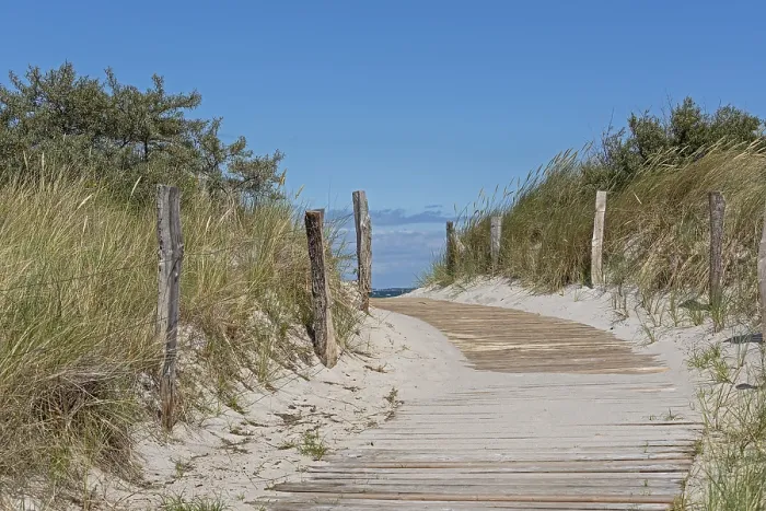 Gerahmter Druck : Strandzugang, Halbinsel Steinwarder Gerahmter Druck : Strandzugang, Halbinsel Steinwarder