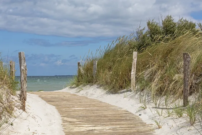 Gerahmter Druck : Strandzugang, Halbinsel Steinwarder Gerahmter Druck : Strandzugang, Halbinsel Steinwarder
