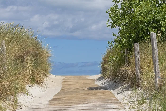 Gerahmter Druck : Strandzugang, Halbinsel Steinwarder Gerahmter Druck : Strandzugang, Halbinsel Steinwarder