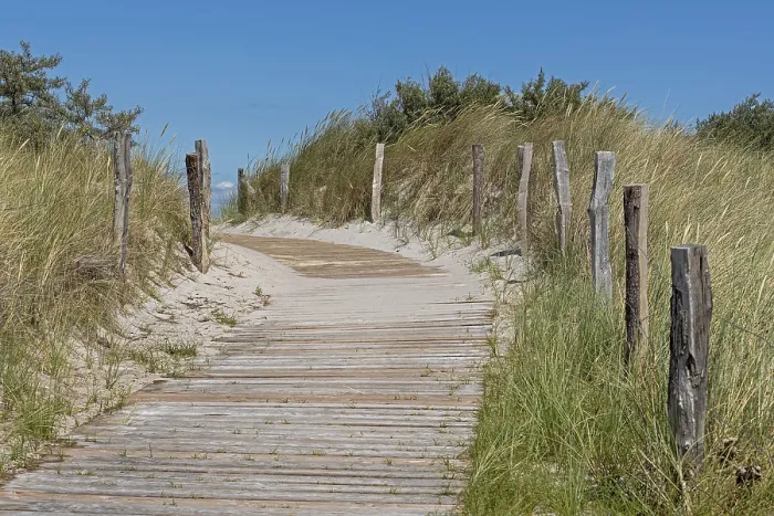 Gerahmter Druck : Strandzugang, Halbinsel Steinwarder Gerahmter Druck : Strandzugang, Halbinsel Steinwarder