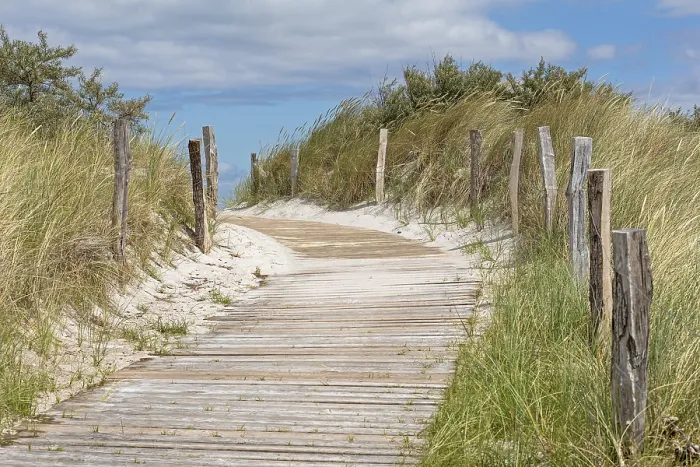 Gerahmter Druck : Strandzugang, Halbinsel Steinwarder Gerahmter Druck : Strandzugang, Halbinsel Steinwarder
