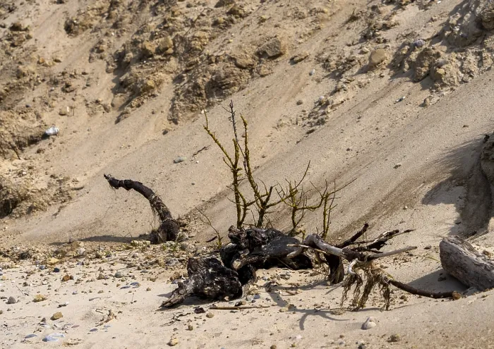Gerahmter Druck : Am Strand von Alt-Reddevitz, Rügen. Gerahmter Druck : Am Strand von Alt-Reddevitz, Rügen.