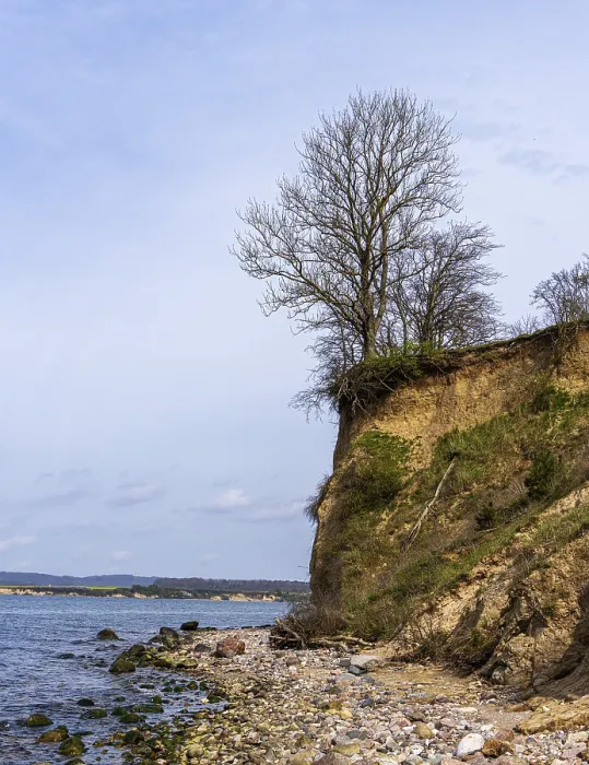 Gerahmter Druck : Am Strand von Alt-Reddevitz, Rügen. Gerahmter Druck : Am Strand von Alt-Reddevitz, Rügen.