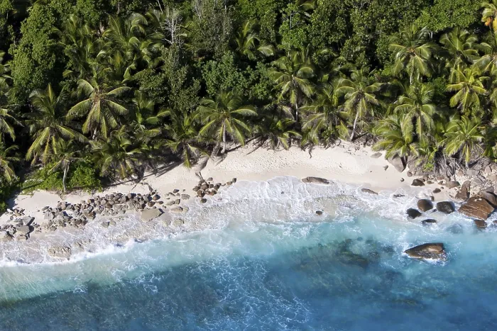 Gerahmter Druck : Die Bucht Anse Cachee bei Pointe Golette. Gerahmter Druck : Die Bucht Anse Cachee bei Pointe Golette.