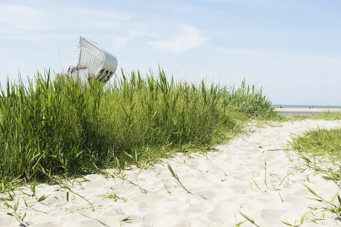 Gerahmter Druck : Strandstühle auf dem sandigen Strand. Gerahmter Druck : Strandstühle auf dem sandigen Strand.