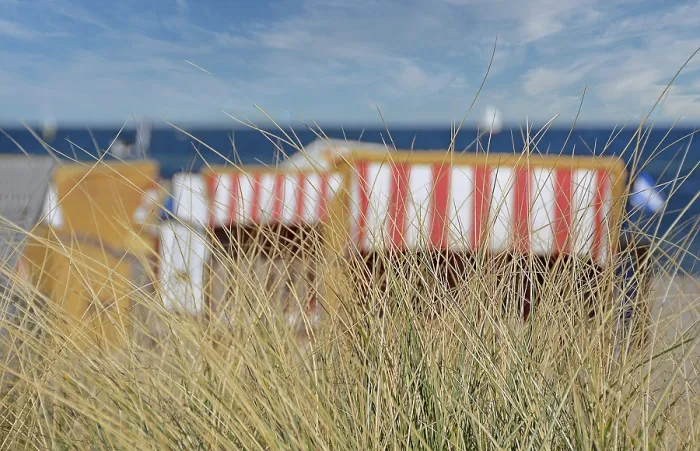 Gerahmter Druck : Strandstühle stehen hinter Dünengras. Gerahmter Druck : Strandstühle stehen hinter Dünengras.