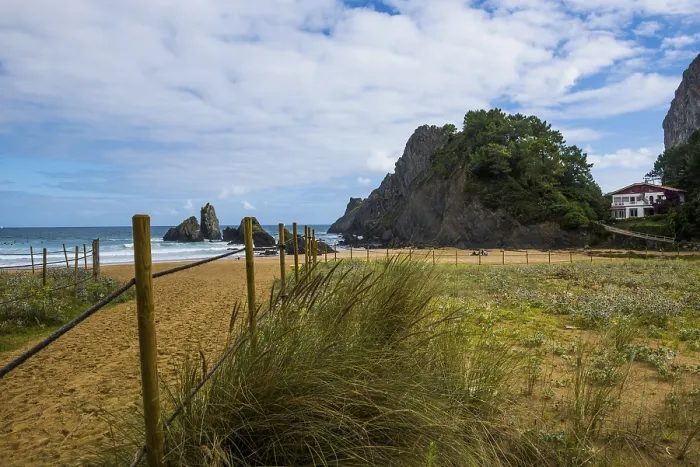 Gerahmter Druck : Küste und Klippen, Playa de Laga Gerahmter Druck : Küste und Klippen, Playa de Laga
