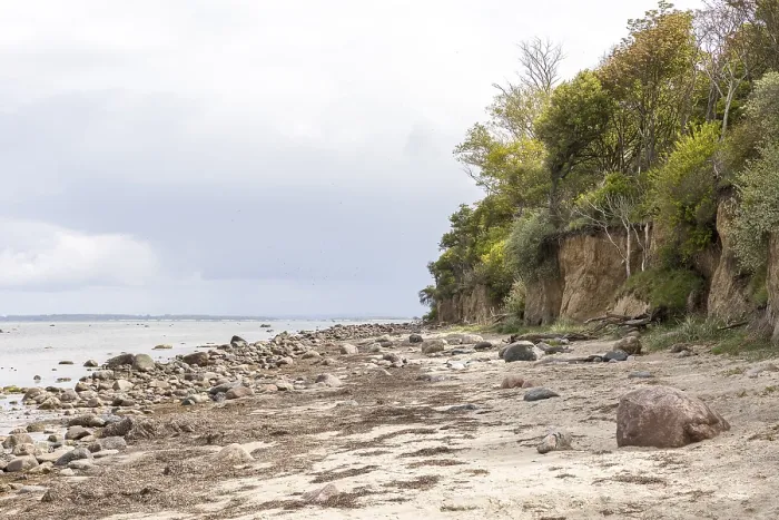 Gerahmter Druck : Strand und Klippen auf Schwarzen Busch. Gerahmter Druck : Strand und Klippen auf Schwarzen Busch.