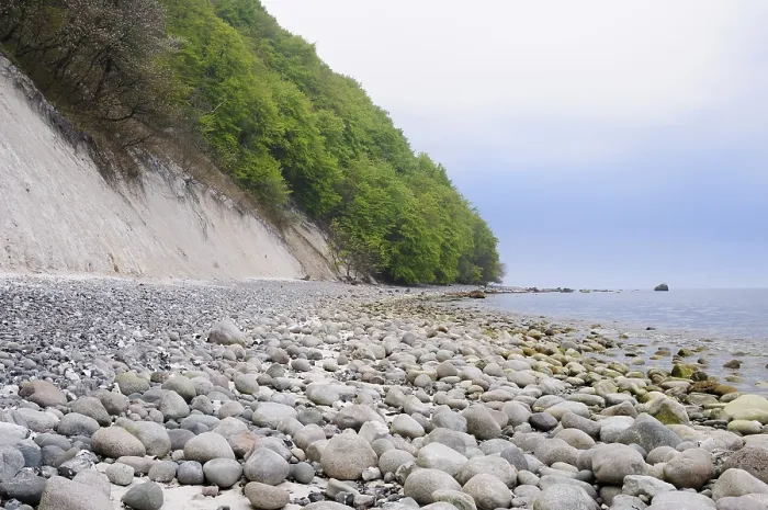 Gerahmter Druck : Am Strand, Königsstuhl. Gerahmter Druck : Am Strand, Königsstuhl.