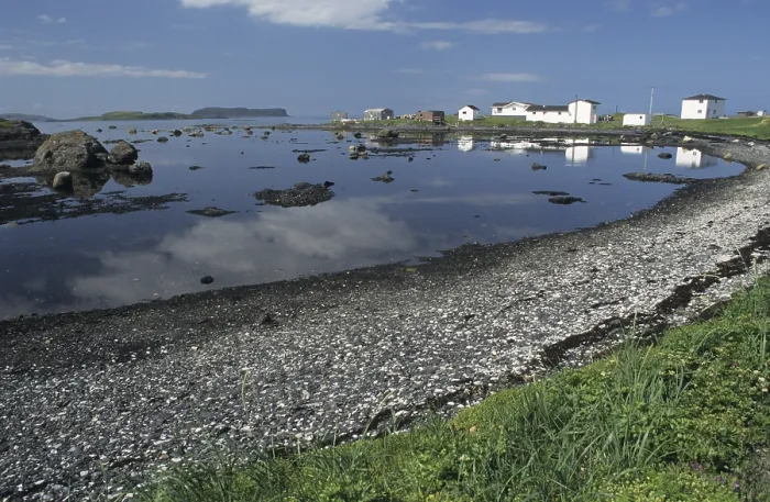 Gerahmter Druck : Strand bei L'Anse aux Meadows Gerahmter Druck : Strand bei L'Anse aux Meadows