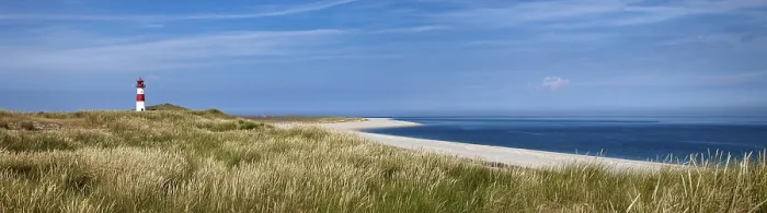 Gerahmter Druck : Strand mit Leuchtturm List-Ost mit Dünengras. Gerahmter Druck : Strand mit Leuchtturm List-Ost mit Dünengras.