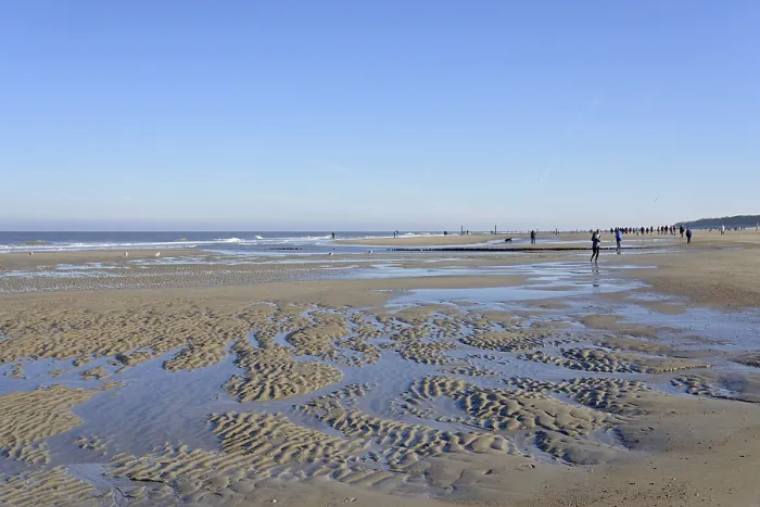 Gerahmter Druck : Strand bei Niedrigwasser mit Wellenmuster. Gerahmter Druck : Strand bei Niedrigwasser mit Wellenmuster.