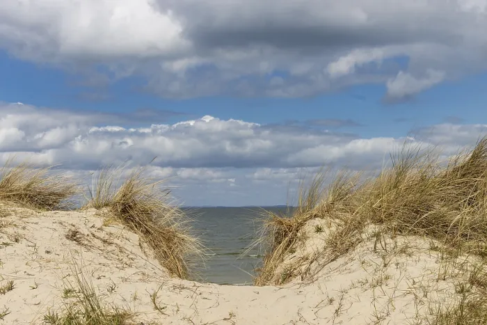 Gerahmter Druck : Strandweg Gerahmter Druck : Strandweg