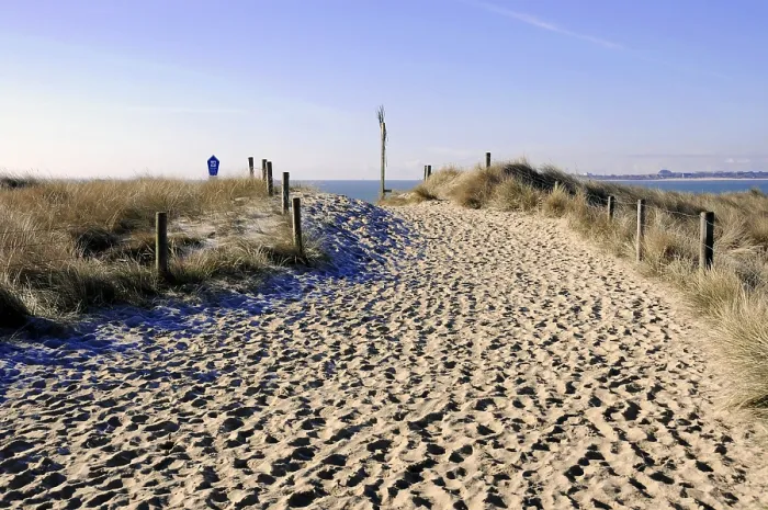 Gerahmter Druck : Strandweg bei Ellenbogen in der Nähe von List. Gerahmter Druck : Strandweg bei Ellenbogen in der Nähe von List.