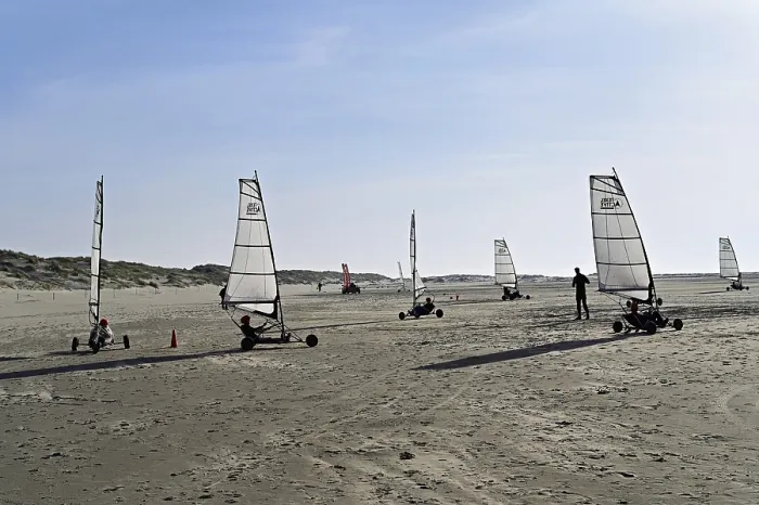 Gerahmter Druck : Bade-Segler auf einem sandigen Strand, De Cocksdorp. Gerahmter Druck : Bade-Segler auf einem sandigen Strand, De Cocksdorp.