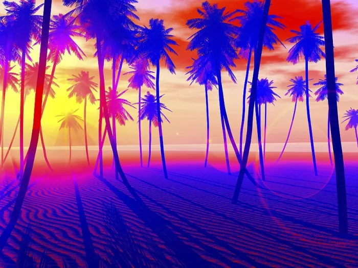 Gerahmter Druck : Strand und Sonnenuntergang Gerahmter Druck : Strand und Sonnenuntergang
