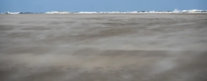 Gerahmter Druck : Strand auf Texel, Niederlande Gerahmter Druck : Strand auf Texel, Niederlande