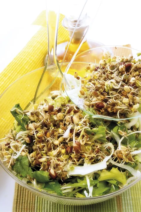 Gerahmter Druck : Bohnensprossen-Salat Gerahmter Druck : Bohnensprossen-Salat