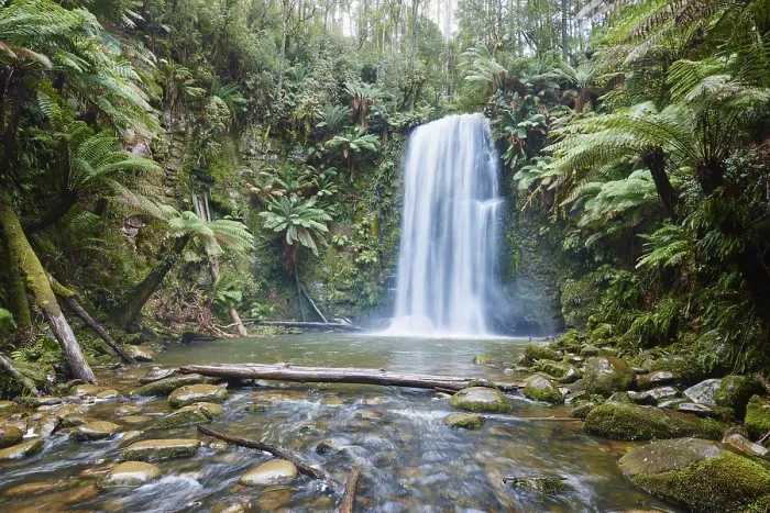 Gerahmter Druck : Beauchamp-Wasserfall im Regenwald. Gerahmter Druck : Beauchamp-Wasserfall im Regenwald.
