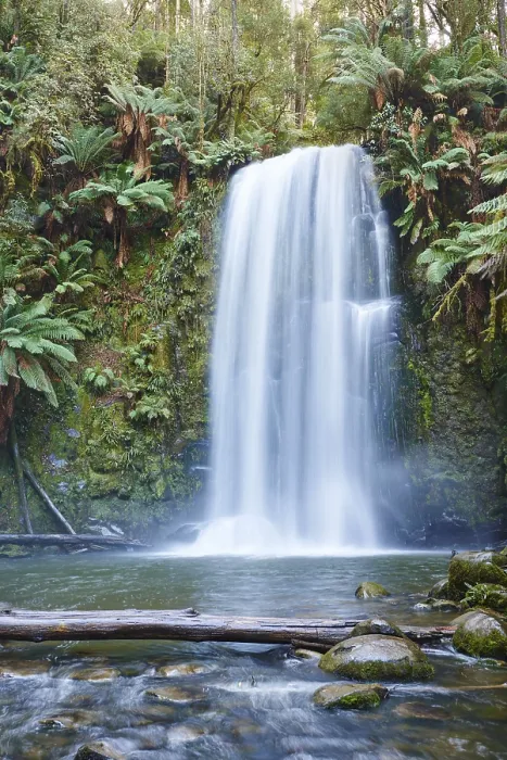 Gerahmter Druck : Beauchamp-Wasserfall im Regenwald. Gerahmter Druck : Beauchamp-Wasserfall im Regenwald.