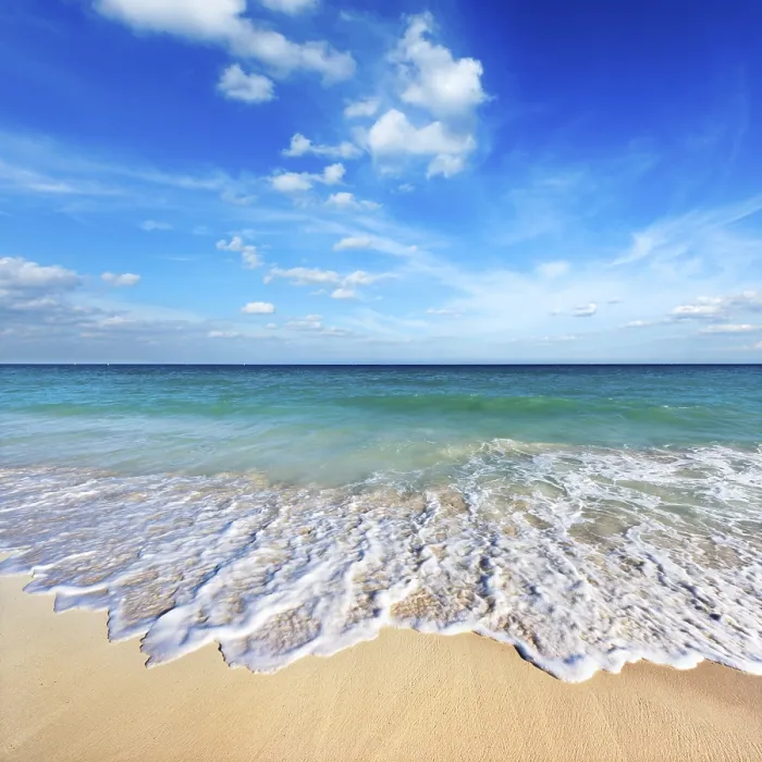 Gerahmter Druck : Schöne Strand und Welle. Gerahmter Druck : Schöne Strand und Welle.
