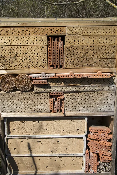 Gerahmter Druck : Bienenhotel Gerahmter Druck : Bienenhotel