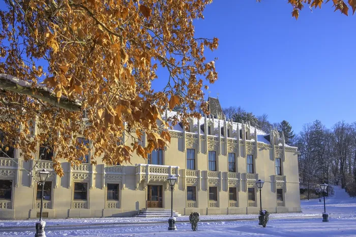 Gerahmter Druck : Buchenblätter und winterlicher Schloss. Gerahmter Druck : Buchenblätter und winterlicher Schloss.