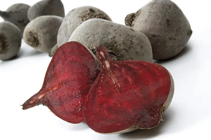 Gerahmter Druck : Beet oder Rote Beete (Beta vulgaris) Gerahmter Druck : Beet oder Rote Beete (Beta vulgaris)