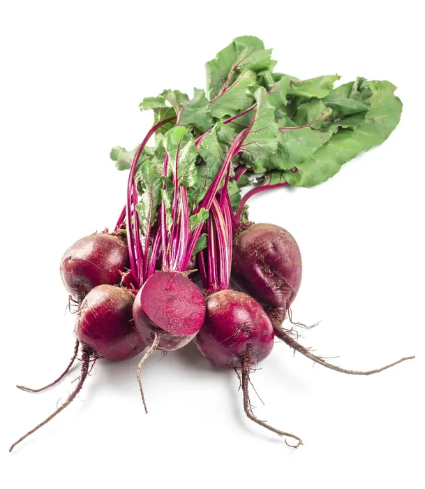 Gerahmter Druck : Beet, Beetwurzelbündel auf weißem Hintergrund. Gerahmter Druck : Beet, Beetwurzelbündel auf weißem Hintergrund.