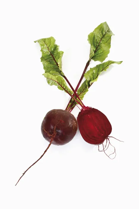 Gerahmter Druck : Beetroot Gerahmter Druck : Beetroot
