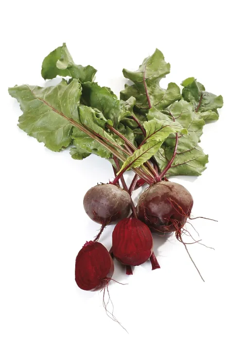 Gerahmter Druck : Beetroot Gerahmter Druck : Beetroot