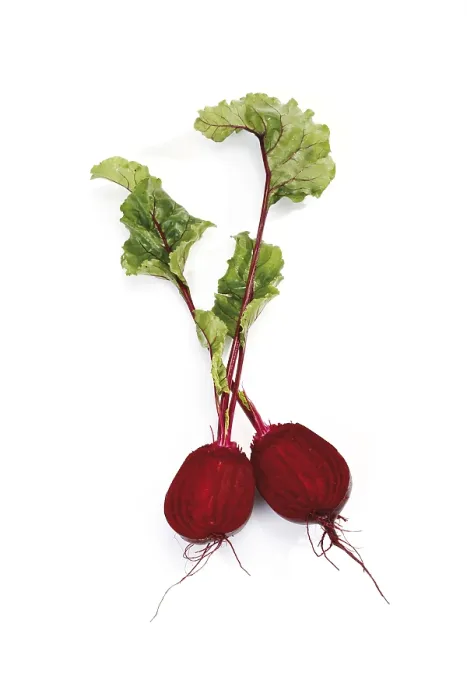 Gerahmter Druck : Beetroot Gerahmter Druck : Beetroot