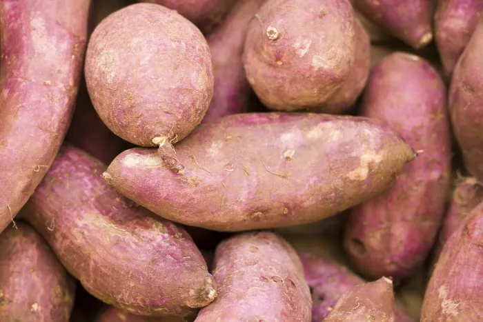 Gerahmter Druck : Beetroot Gerahmter Druck : Beetroot