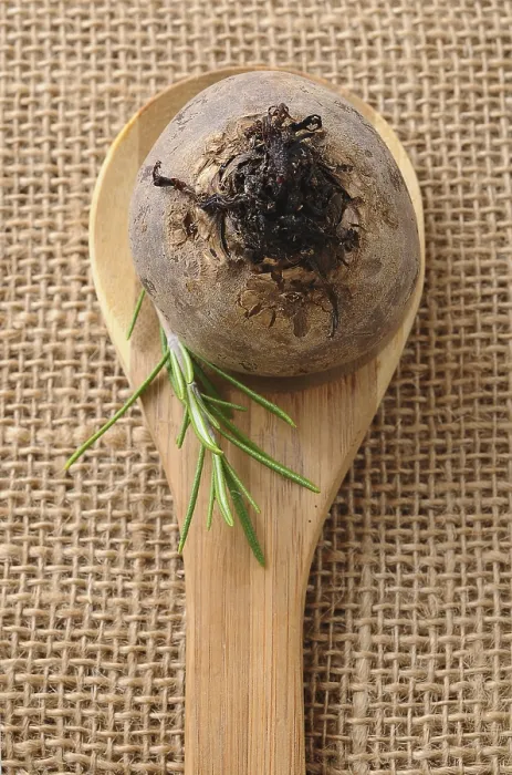 Gerahmter Druck : Rote Beete auf einem Holzlöffel Gerahmter Druck : Rote Beete auf einem Holzlöffel