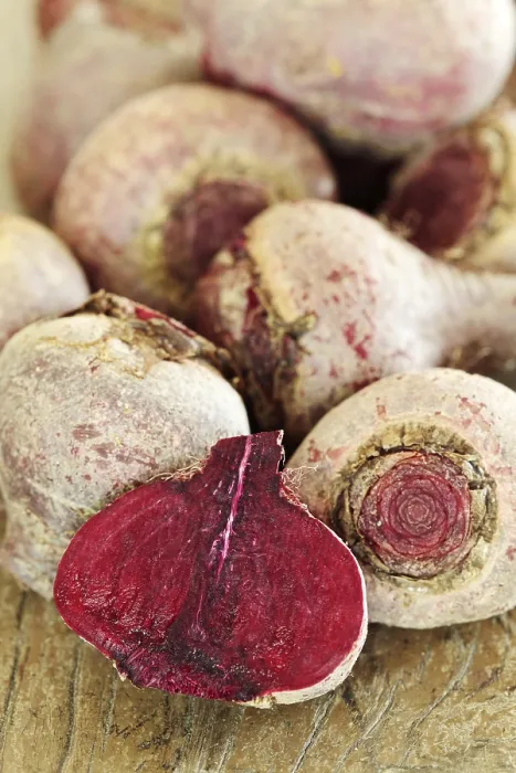 Gerahmter Druck : Rote Beete, eine halbiert. Gerahmter Druck : Rote Beete, eine halbiert.