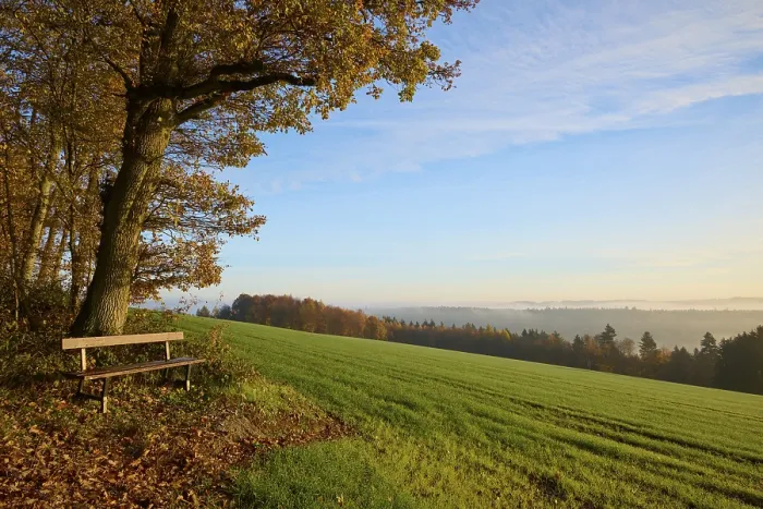 Gerahmter Druck : Bänk, Getreidefeld, Wald, Wolken