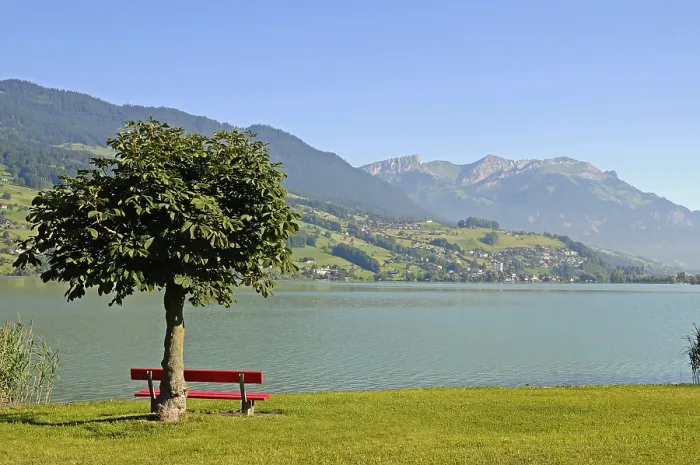Gerahmter Druck : Bänk, Baum, Ufer, Aussicht, Berge Gerahmter Druck : Bänk, Baum, Ufer, Aussicht, Berge