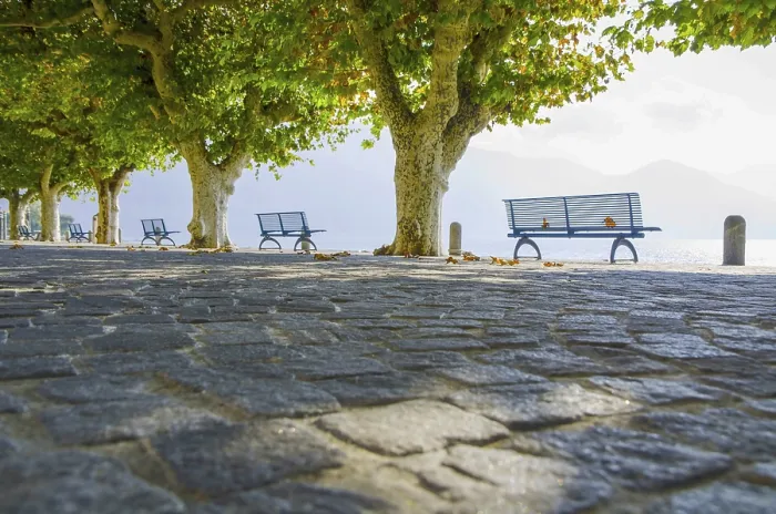 Gerahmter Druck : Bänke und ein Baum mit Sonnenlicht in Ascona. Gerahmter Druck : Bänke und ein Baum mit Sonnenlicht in Ascona.