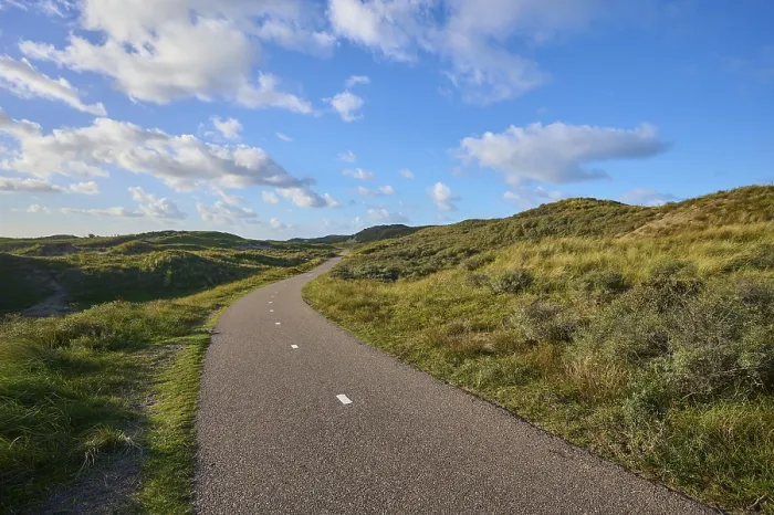 Gerahmter Druck : Fahrradweg, Sanddüne, Wolken. Gerahmter Druck : Fahrradweg, Sanddüne, Wolken.
