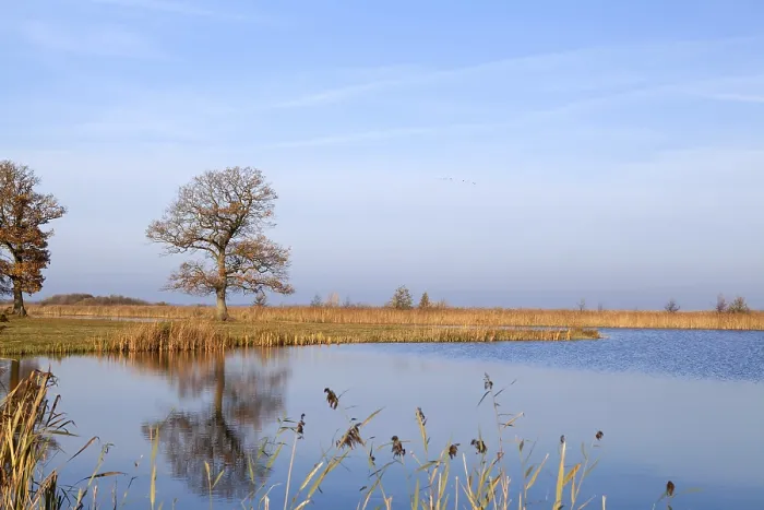 Gerahmter Druck : Großer Herbstbaumreflex auf dem Seespiegel. Gerahmter Druck : Großer Herbstbaumreflex auf dem Seespiegel.