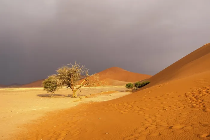 Gerahmter Druck : Big Daddy Dune und Deadvlei Gerahmter Druck : Big Daddy Dune und Deadvlei